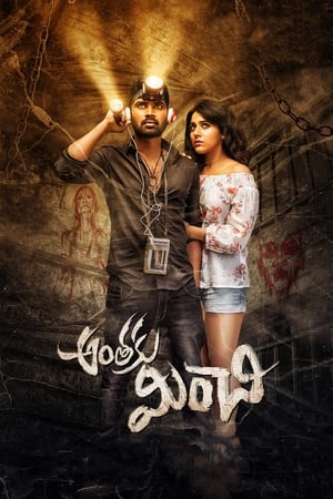Anthaku Minchi (2018) Dubbed | Dubbed Hindi Movie HDRip [1GB]