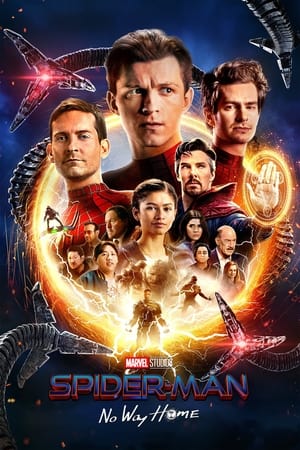 Spider-Man: No Way Home (2021) (ORG) Dual Audio BluRay | Dubbed Hindi Movie – 480p