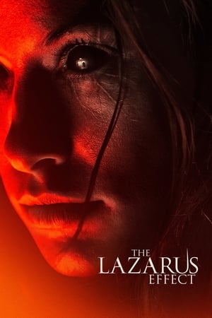The Lazarus Effect (2015) Dual Audio | Dubbed Hindi Movie BluRay [800MB]